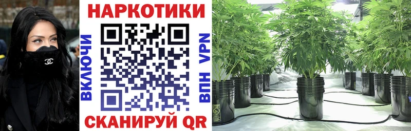 Купить Каргополь Амфетамин  А ПВП  ГАШ  Меф мяу мяу  Галлюциногенные грибы  Конопля  Кокаин 