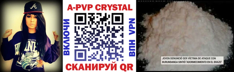 A PVP СК КРИС Каргополь