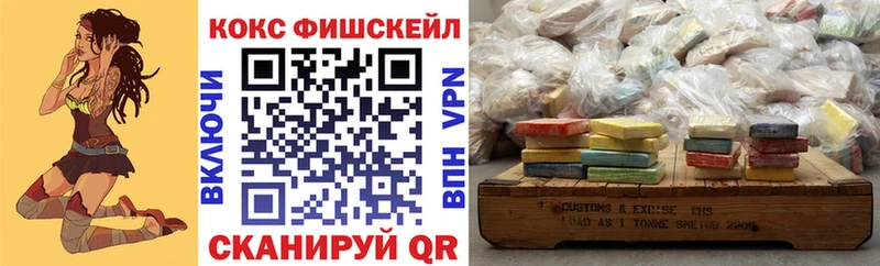 где купить наркоту  Каргополь  COCAIN Fish Scale 