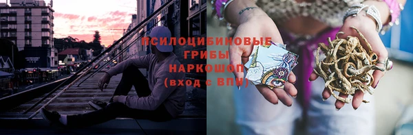 гидра Алексеевка