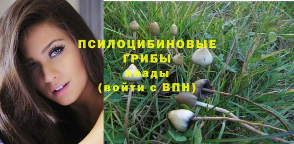 дурь Абдулино