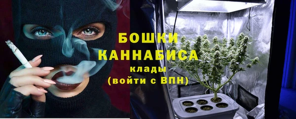 твердый Абаза