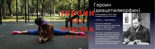 гидра Алексеевка