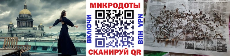 купить наркотик  Каргополь  Псилоцибиновые грибы мицелий 